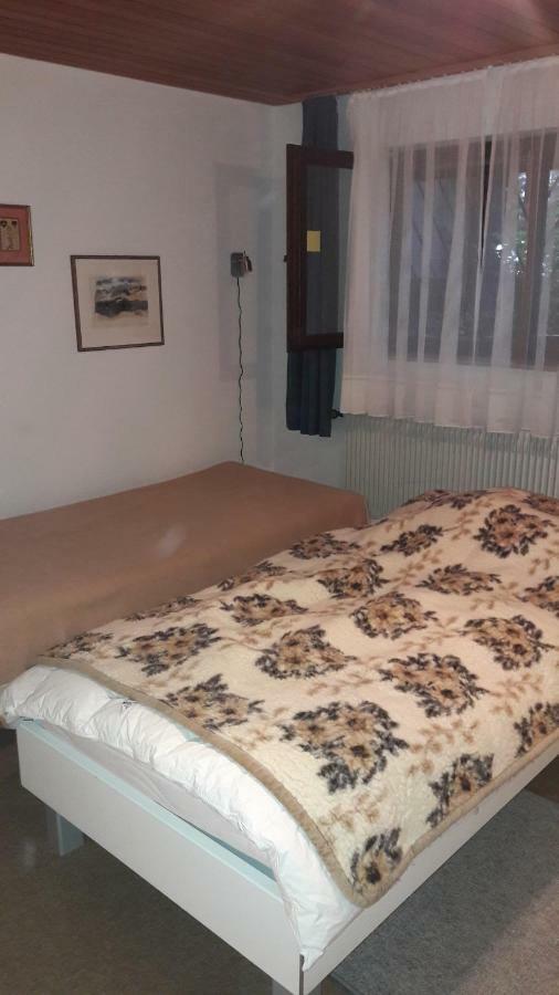 Haus Schwanenweg Apartman Konstanz Kültér fotó