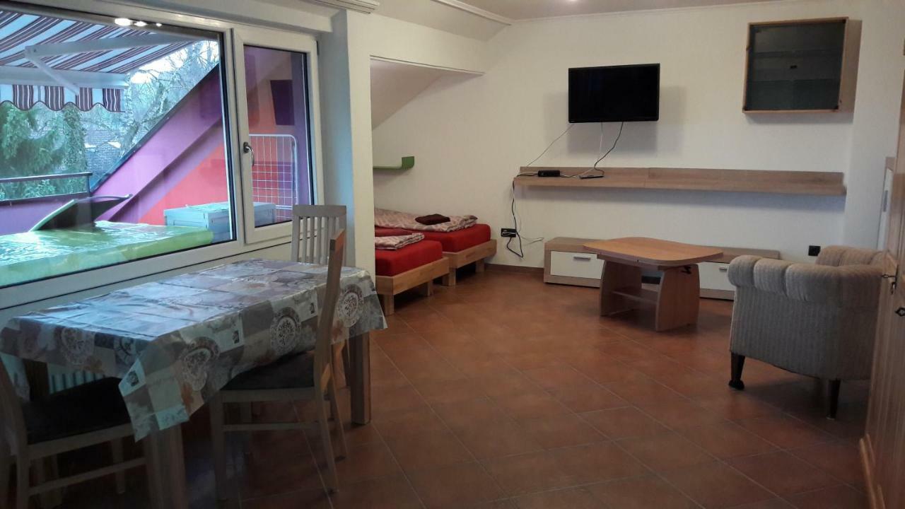 Haus Schwanenweg Apartman Konstanz Kültér fotó